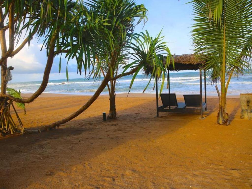 Whispering Palms Hotel Bentota Eksteriør bilde